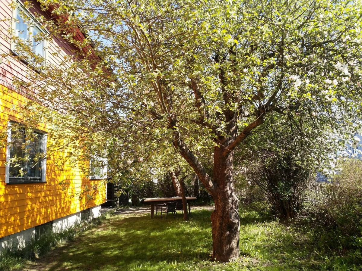Renovated Semi- Basement 2 Bedrooms Furnished Apartment - Close To Everything In Moss Eksteriør bilde